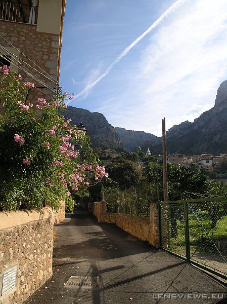 2006_11_19 11_32_38 OLYMPUS DIGITAL CAMERA         